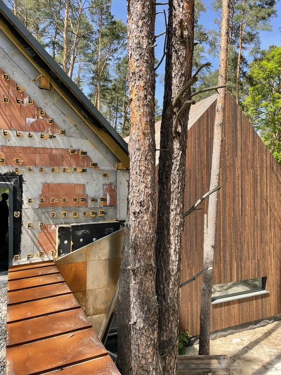 Detal strefy wejściowej domu z okładziną metalową, drewnianą elewacją i zachowanymi sosnami na działce