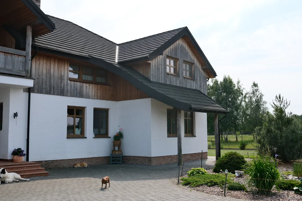 Zbliżenie narożnika domu: biała elewacja na parterze, drewniana okładzina na piętrze i czarny dach; na podjeździe psy