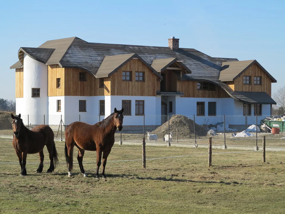 Dwa konie na łące przed ogrodzonym domem w trakcie budowy, drewniana elewacja i biały tynk