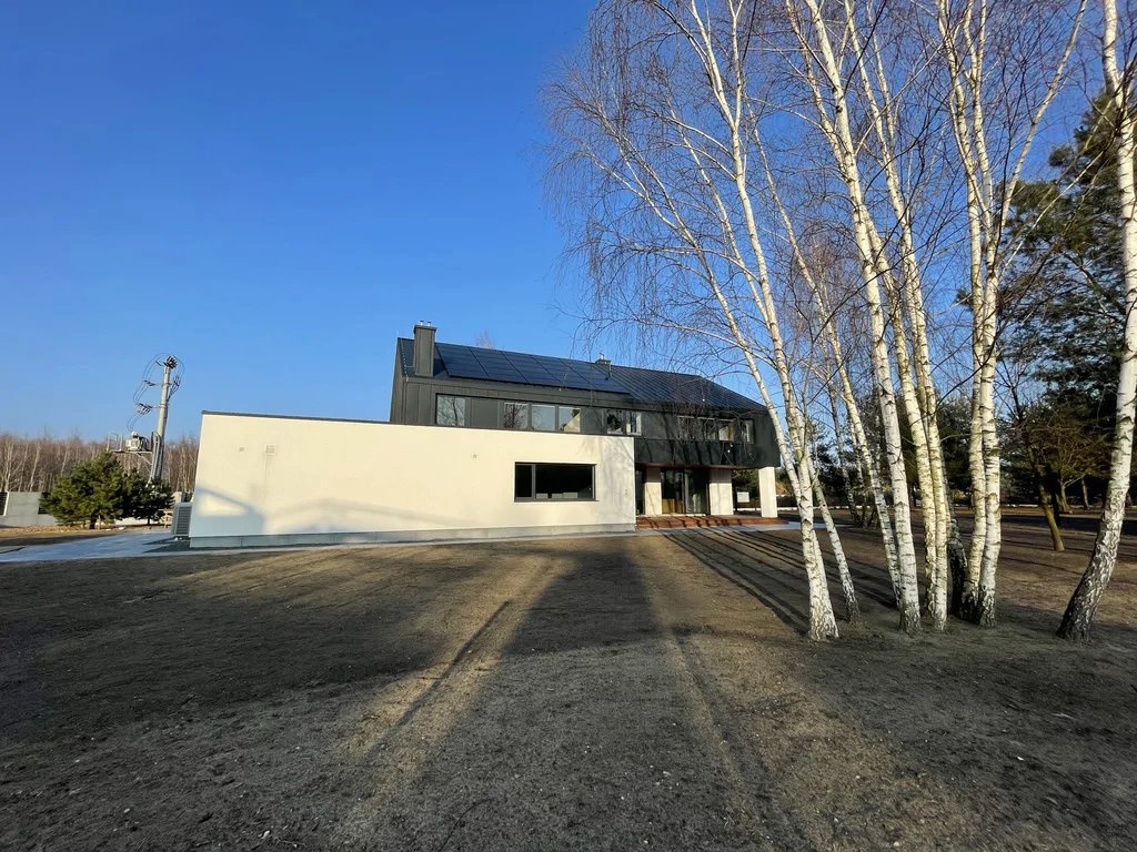 Nowoczesny dom jednorodzinny z czarną elewacją i białą bryłą, widok od ogrodu z brzozami