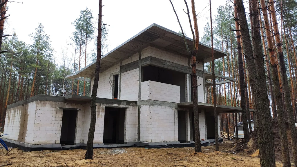 Bryła domu w stanie surowym z płaskimi płytami dachowymi i dużymi okapami, otoczenie leśne