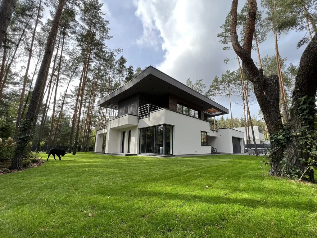 Szeroki widok na dom i trawnik w sosnowym lesie; czarny pies na pierwszym planie