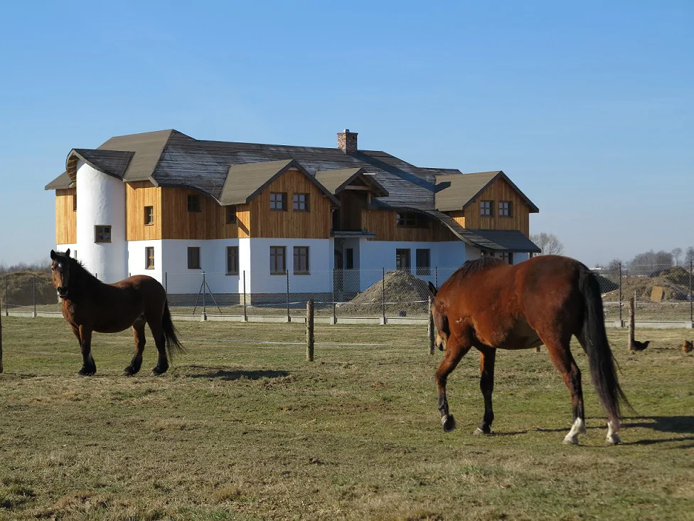 Dwa konie na łące przed ogrodzonym domem w trakcie budowy, drewniana elewacja i biały tynk