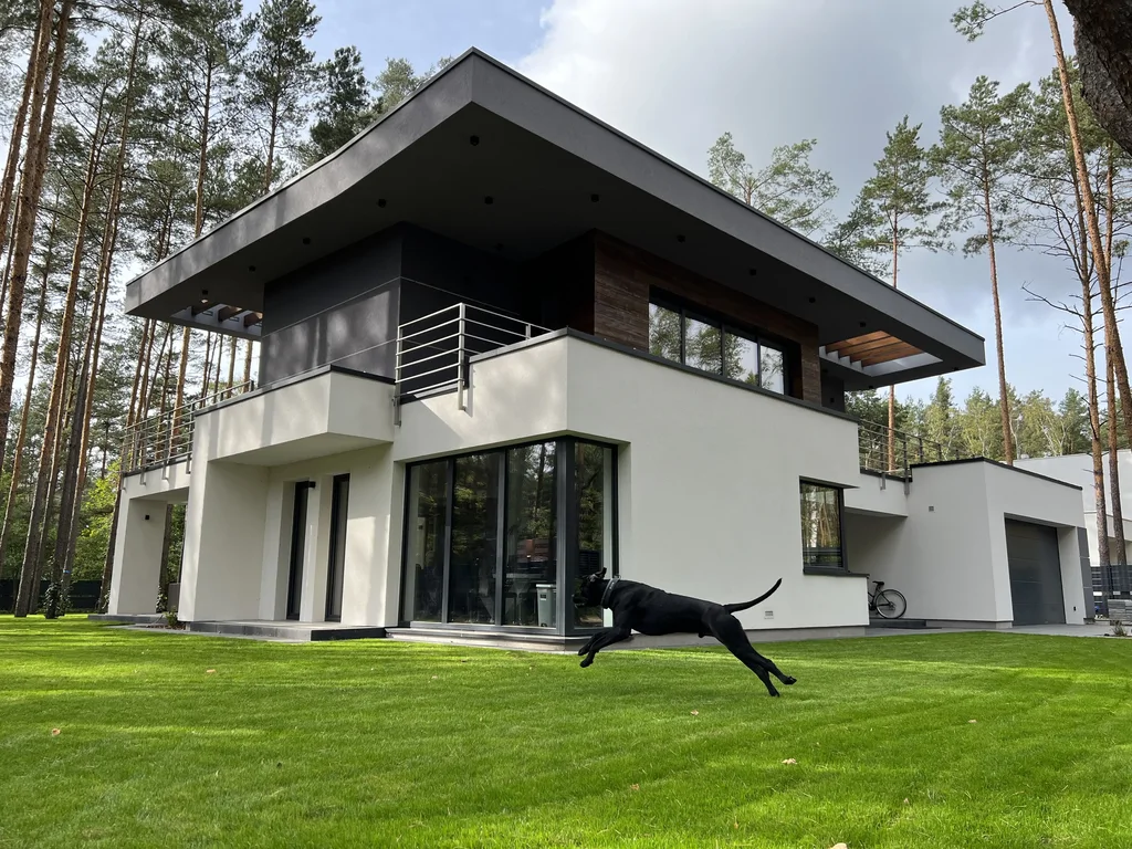 Nowoczesny dom z płaskim dachem i tarasem; na trawniku biegnie czarny pies, sosnowy las w tle