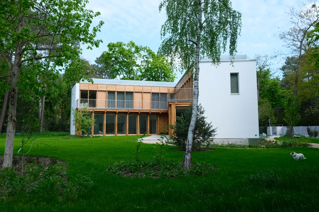 Widok z ogrodu na dom z białą bryłą boczną, brzozą na pierwszym planie i szerokim trawnikiem